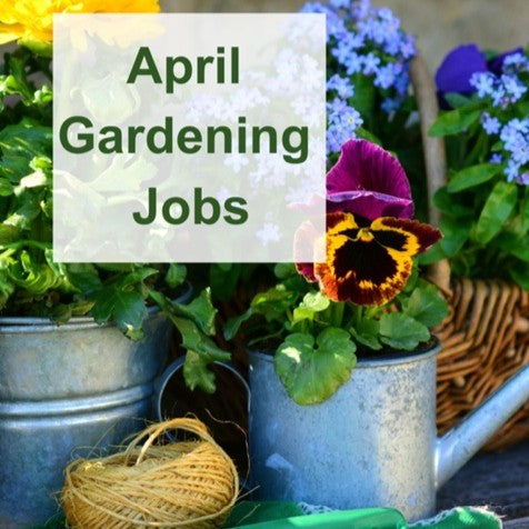 Garden Jobs For April