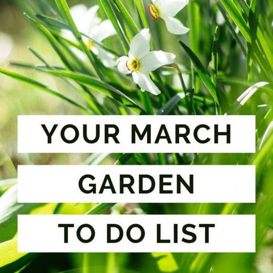 Garden Jobs for March
