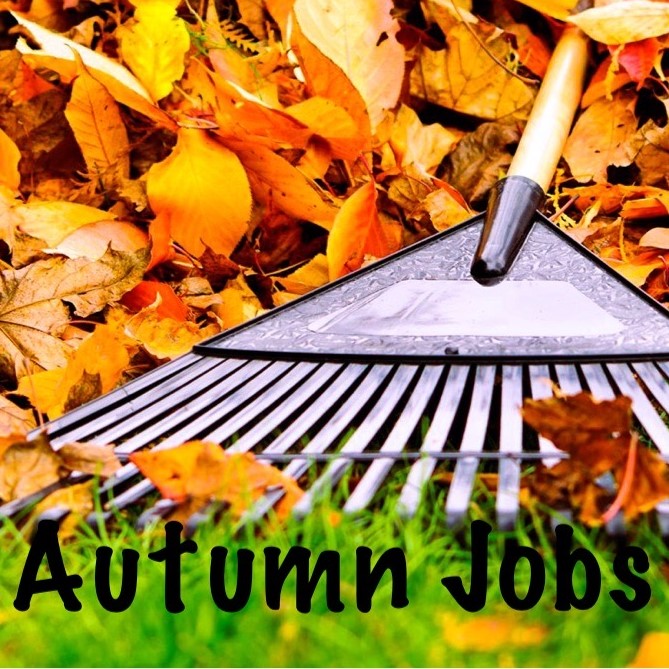 Octobers Jobs for the Garden